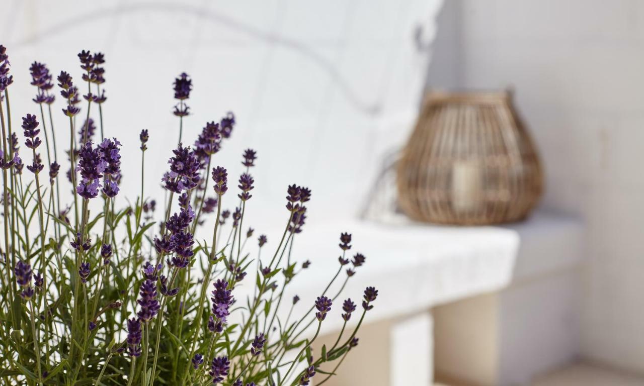 Agapanto Masseria Bed and Breakfast Conversano Exterior foto