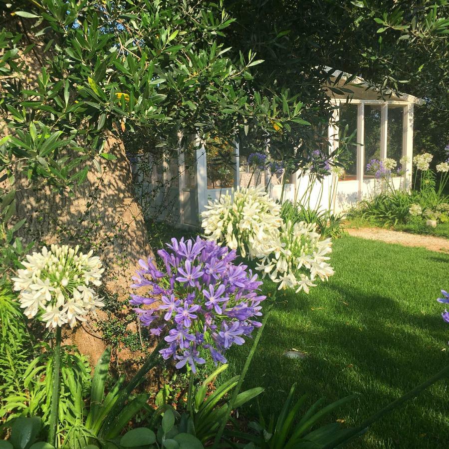 Agapanto Masseria Bed and Breakfast Conversano Exterior foto